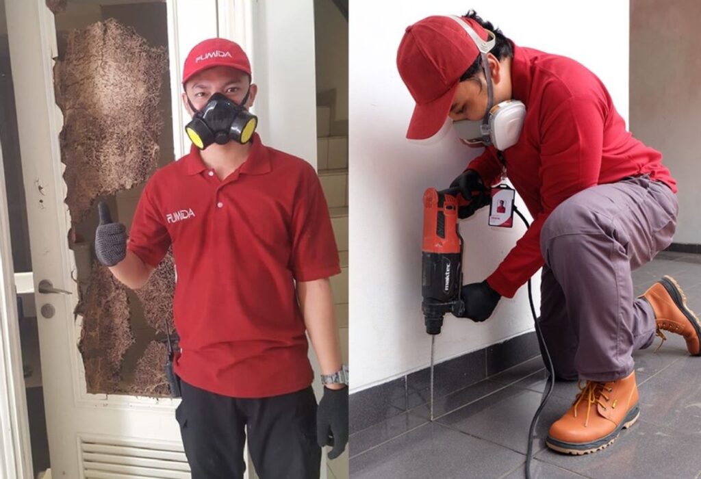 Alasan Rayap Suka Tempat Lembab, Ini Dia Jawaban Jasa anti rayap